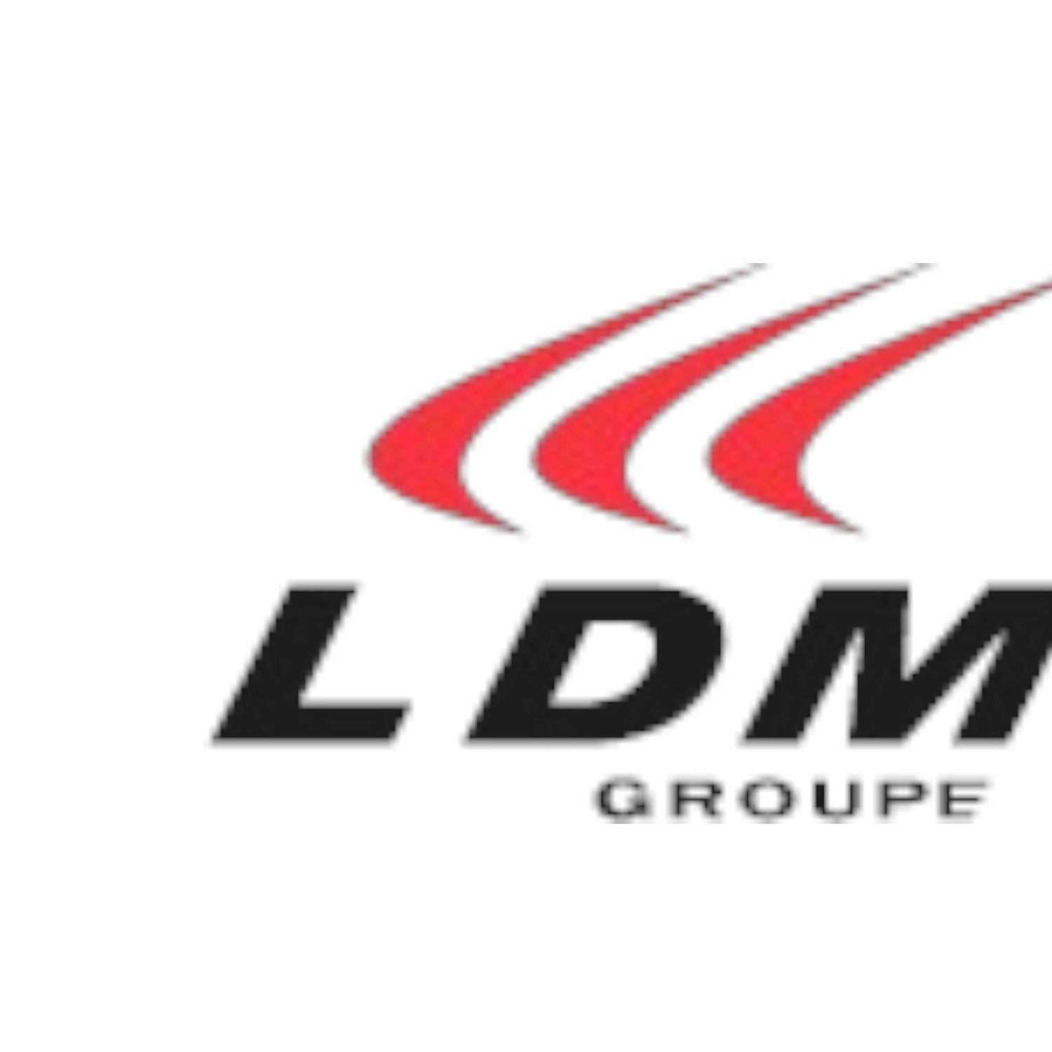 LDM Groupe